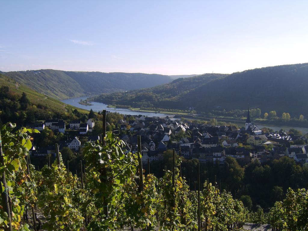 Апартаменти Weingut Matthias Dauns Райль Екстер'єр фото