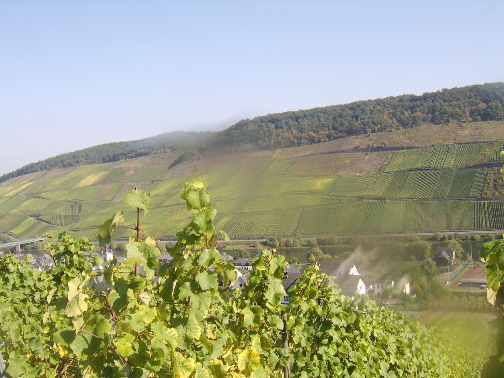 Апартаменти Weingut Matthias Dauns Райль Екстер'єр фото