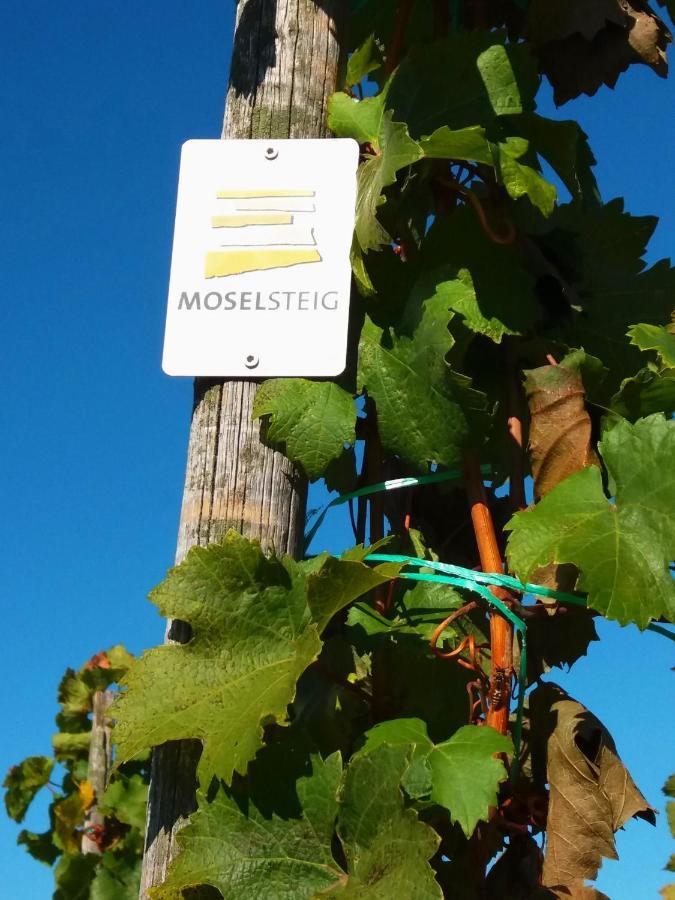 Апартаменти Weingut Matthias Dauns Райль Екстер'єр фото