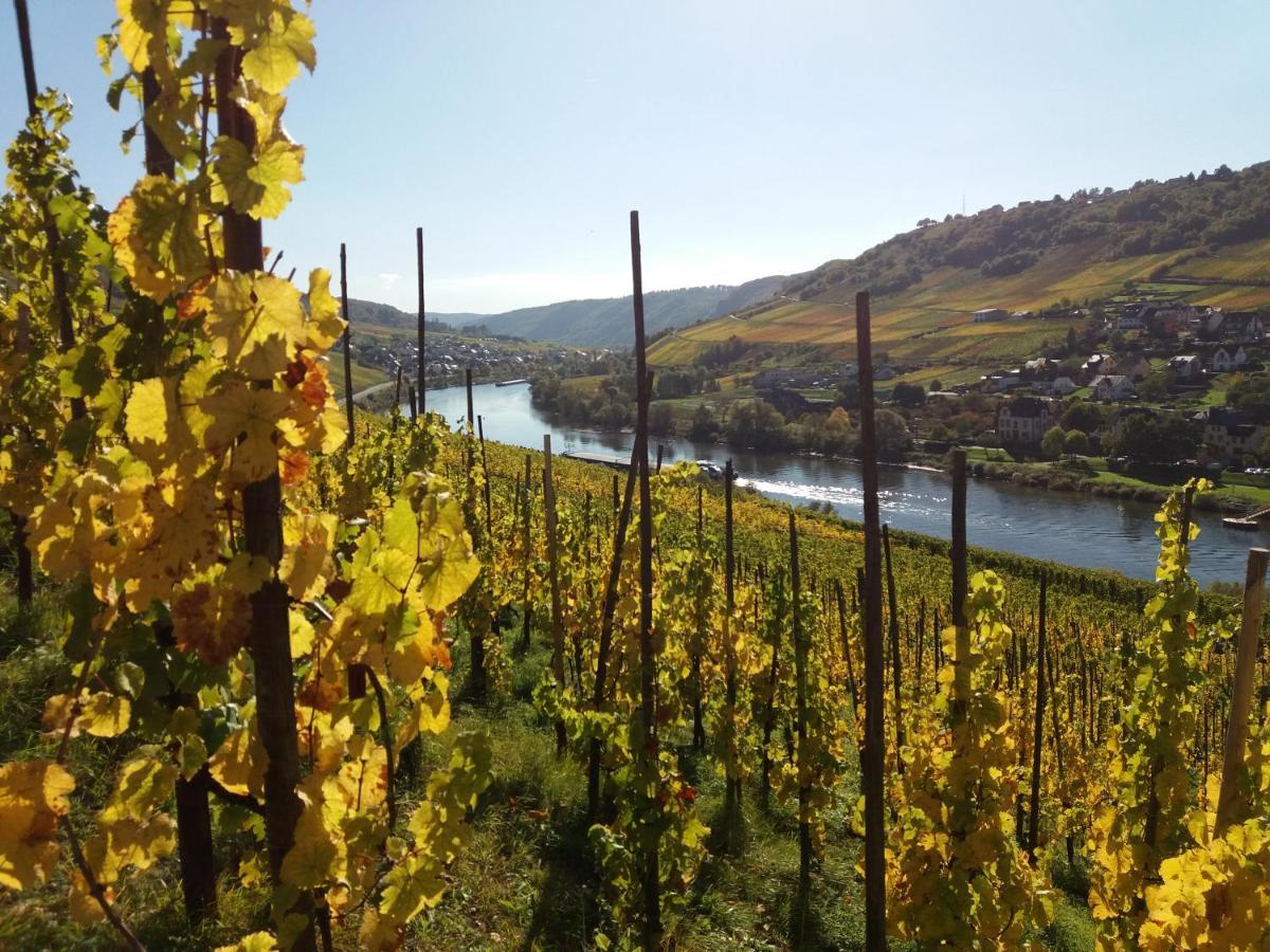 Апартаменти Weingut Matthias Dauns Райль Екстер'єр фото