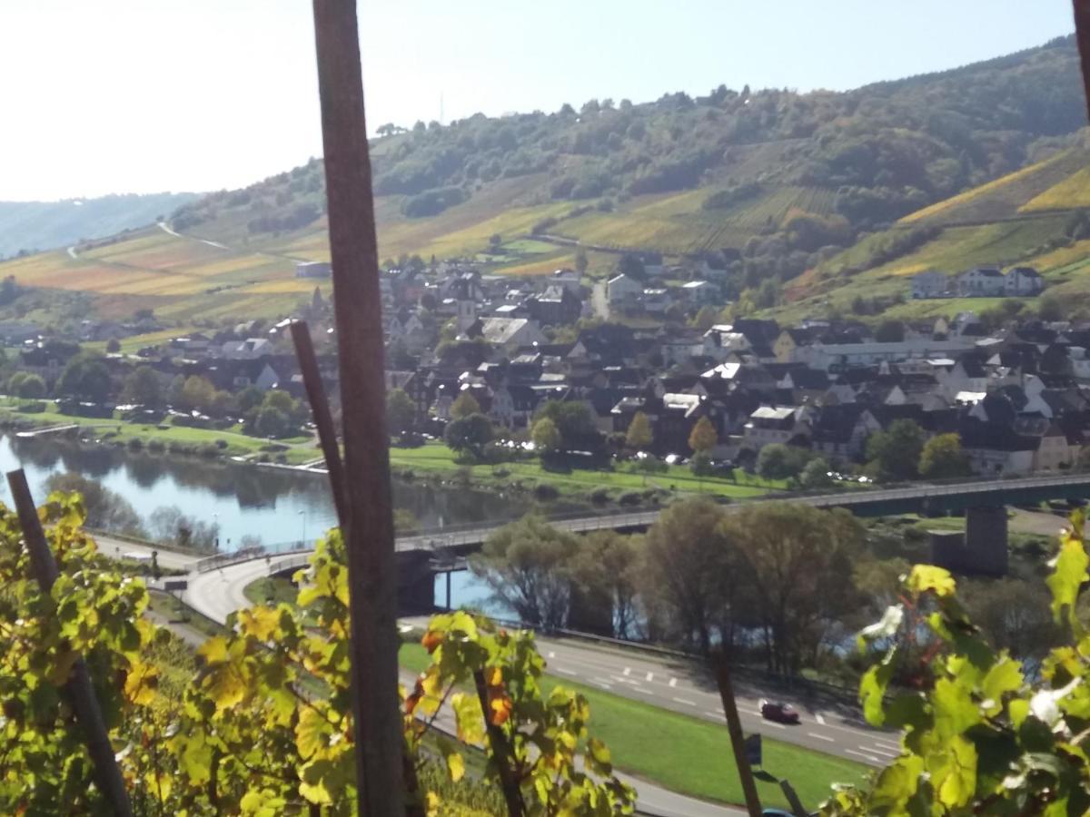 Апартаменти Weingut Matthias Dauns Райль Екстер'єр фото